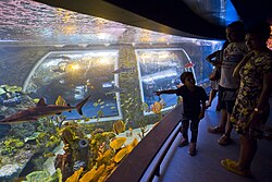 Parque de las Ciencias (Granada) - Wikipedia, la enciclopedia libre · © es.wikipedia.org